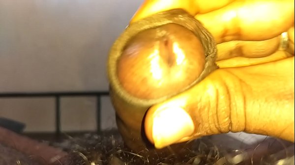 meu marido amigo fazendo auto punheta eu quero esse pau preto